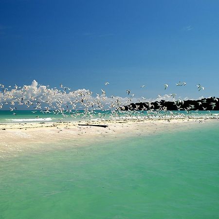 Le Zahir Lodge Ambatoloaka  Luaran gambar