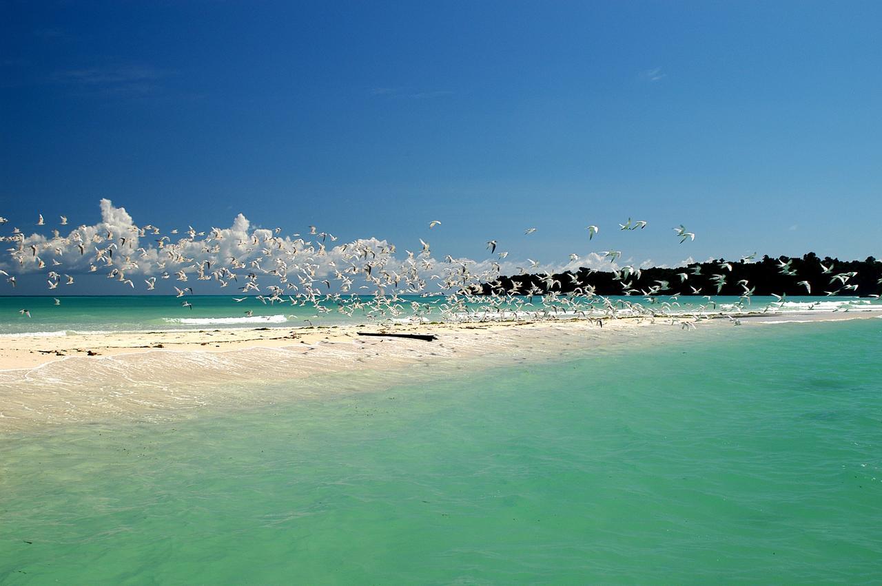 Le Zahir Lodge Ambatoloaka  Luaran gambar